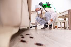 The Value Of Frequent Home Pest Inspections 